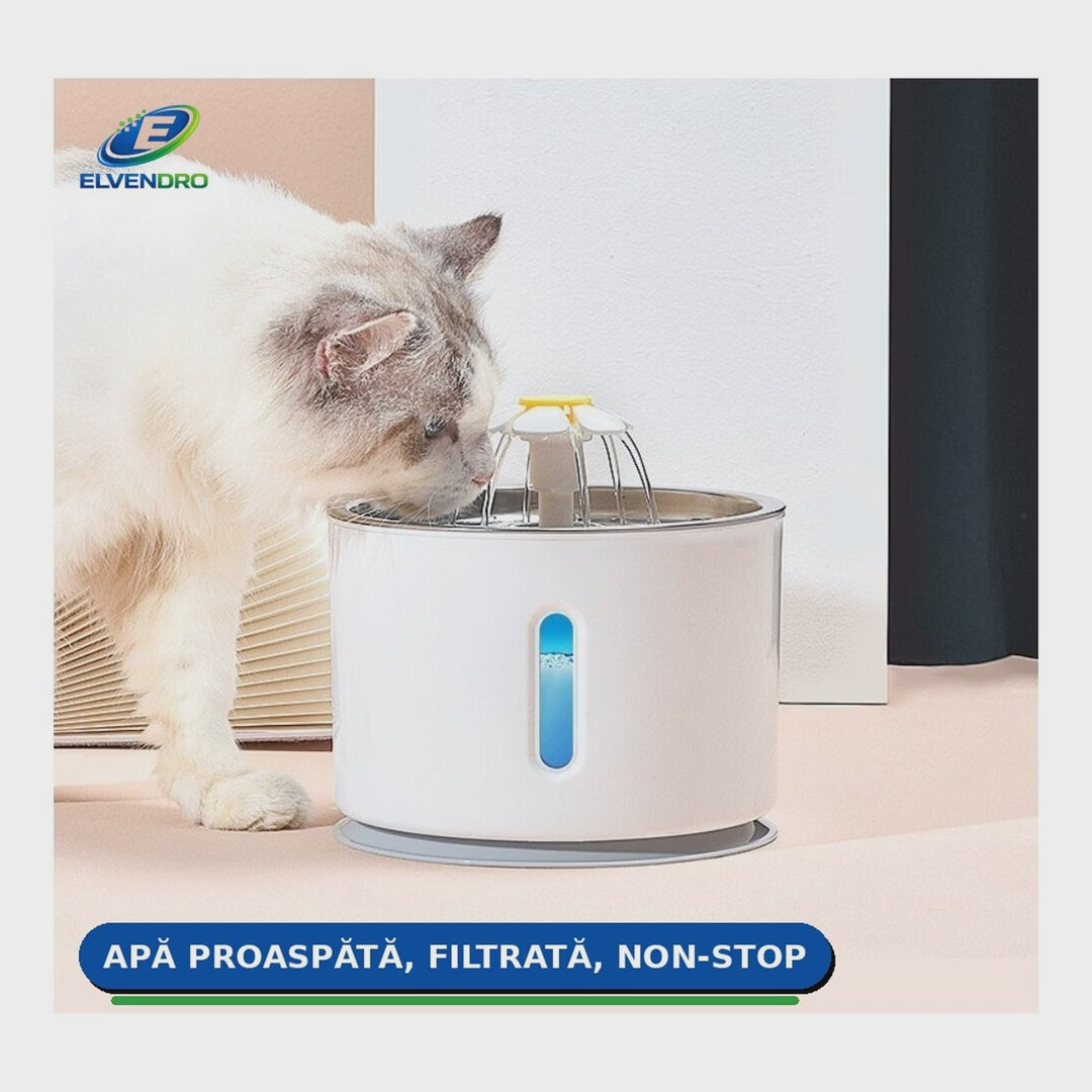 Prezentare video fântână de apă pentru pisici și câini, 2,4 L